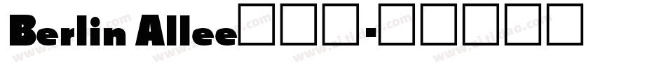 Berlin Allee转换器字体转换